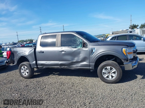 2021 Ford F-150 XL with VIN 1FTFW1E86MKD57397, listed as a IAAI auction lot 42174774 with 59,227 mi miles and . Bid and sale history available at DreamBid. Image 14.