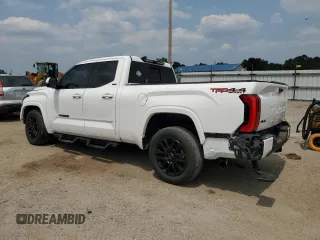 2022 Toyota Tundra SR5 with VIN 5TFLA5DA5NX031981, listed as a Copart auction lot 58728245 with 49,022 mi miles and Salvage title. Bid and sale history available at DreamBid. Image 2.