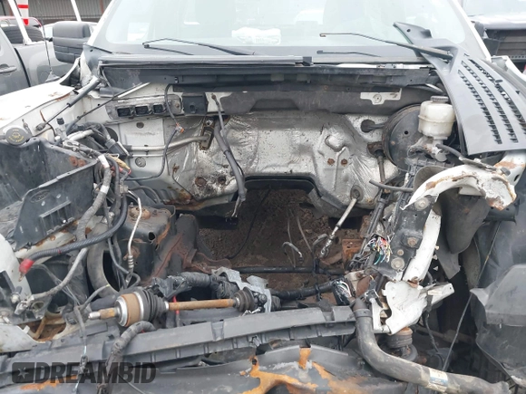 2010 Ford F-150 XL with VIN 1FTMF1CWXAKE78986, listed as a IAAI auction lot 41496694 with Not provided miles and . Bid and sale history available at DreamBid. Image 10.