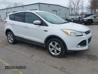 2013 Ford Escape SE with VIN 1FMCU0GX8DUB34169, listed as a IAAI auction lot 41965021 with 162,204 mi miles. Bid and sale history available at carsss.com. Image 1.