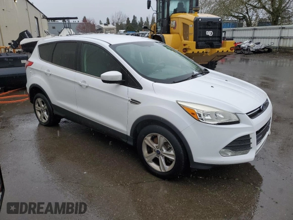 2014 Ford Escape SE with VIN 1FMCU9G96EUA46034, listed as a Copart auction lot 49678325 with 0 mi miles and Clean Title. Bid and sale history available at carsss.com. Image 4.