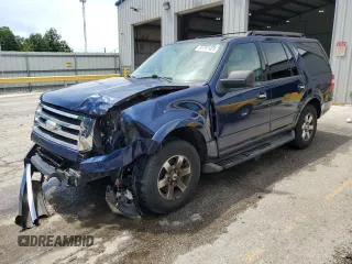 2009 Ford Expedition SSV with VIN 1FMFU16549LA05586, listed as a Copart auction lot 61261425 with 217,382 mi miles and Salvage title. Bid and sale history available at DreamBid. Image 1.