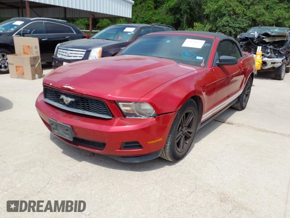 2011 Ford Mustang V6 with VIN 1ZVBP8EMXB5154121, listed as a IAAI auction lot 42154423 with 128,949 mi miles and . Bid and sale history available at DreamBid. Image 17.