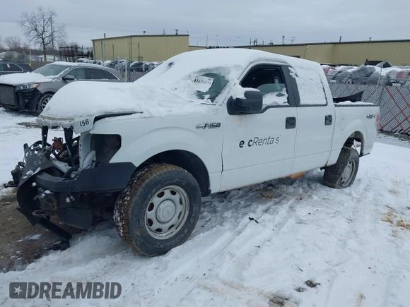 2013 Ford F-150 XL with VIN 1FTFW1EF1DFC14283, listed as a IAAI auction lot 41641563 with 0 mi miles. Bid and sale history available at carsss.com. Image 2.