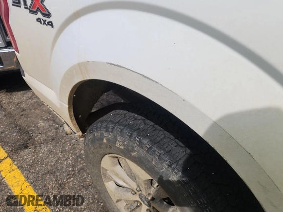 2017 Ford F-150 XL with VIN 1FTEX1EP9HKD59246, listed as a IAAI auction lot 42328376 with 213,210 mi miles and . Bid and sale history available at DreamBid. Image 1.
