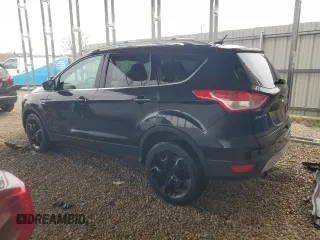 2013 Ford Escape Titanium with VIN 1FMCU0J98DUA01132, listed as a Copart auction lot 49501705 with 318,385 mi miles and Clean Title. Bid and sale history available at carsss.com. Image 2.