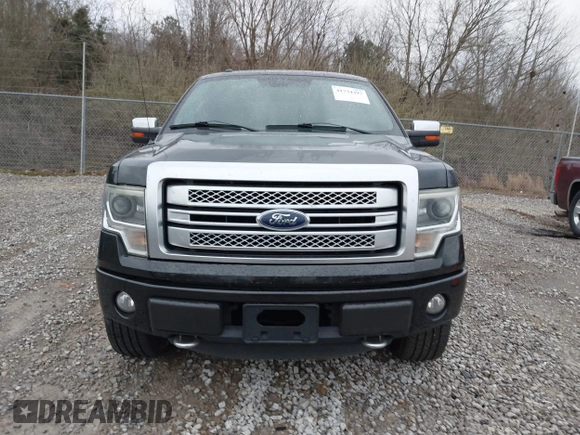2013 Ford F-150 XL with VIN 1FTFW1ET5DFA49957, listed as a IAAI auction lot 41734397 with 265,121 mi miles. Bid and sale history available at carsss.com. Image 12.