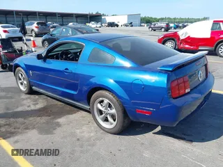 2006 Ford Mustang Standard with VIN 1ZVFT80N565167331, listed as a IAAI auction lot 42162547 with 113,035 mi miles. Bid and sale history available at carsss.com. Image 3.