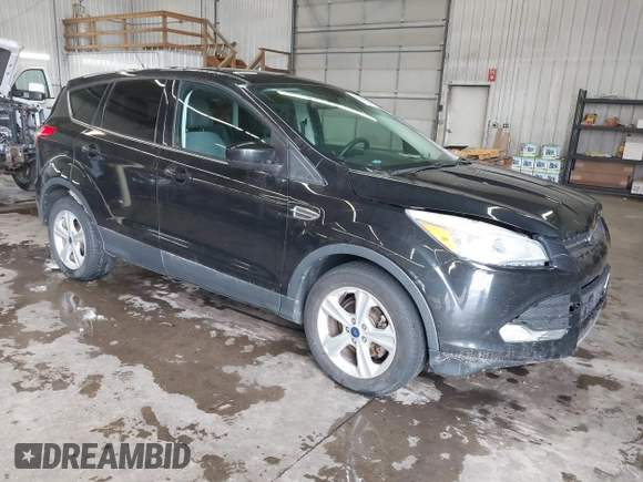 2014 Ford Escape SE with VIN 1FMCU0GX4EUC50972, listed as a IAAI auction lot 41953559 with 134,936 mi miles. Bid and sale history available at carsss.com. Image 1.