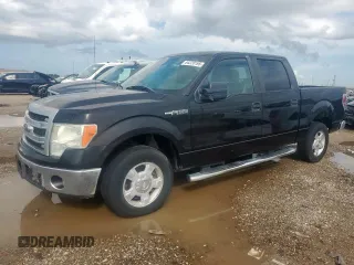 2013 Ford F-150 XL with VIN 1FTFW1CF9DFA60179, listed as a Copart auction lot 64220195 with 253,508 mi miles and Clean title. Bid and sale history available at DreamBid. Image 1.
