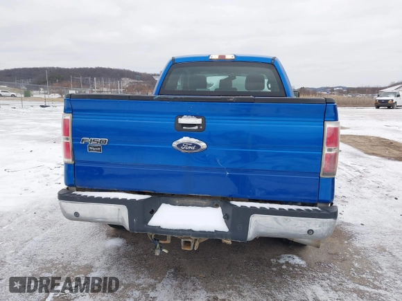 2013 Ford F-150 XL with VIN 1FTFX1ET9DFA00998, listed as a IAAI auction lot 41216058 with 168,995 mi miles and . Bid and sale history available at DreamBid. Image 16.
