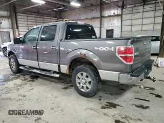 2010 Ford F-150 XL with VIN 1FTFW1EV8AFA98020, listed as a Copart auction lot 46349145 with 197,102 mi miles and Salvage Title. Bid and sale history available at carsss.com. Image 2.
