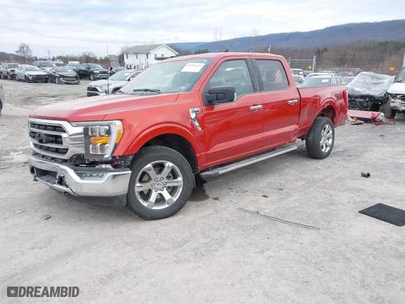 2023 Ford F-150 XL with VIN 1FTFW1E85PKF76677, listed as a IAAI auction lot 40986845 with 16,253 mi miles. Bid and sale history available at carsss.com. Image 18.