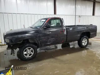 1995 Dodge Ram 1500 with VIN 1B7HF16Z8SS138812, listed as a Copart auction lot 47207595 with 185,094 mi miles and Salvage Title. Bid and sale history available at carsss.com. Image 1.