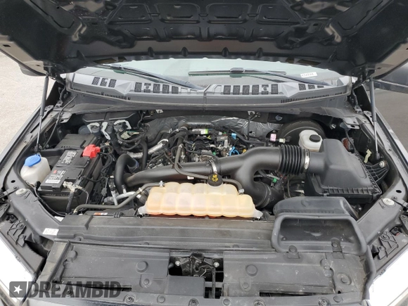 2019 Ford F-150 XL with VIN 1FTEX1CP9KKC18168, listed as a Copart auction lot 43907045 with 28,450 mi miles and Salvage title. Bid and sale history available at DreamBid. Image 11.