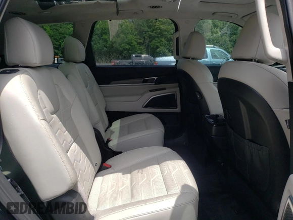 2020 Kia Telluride SX with VIN 5XYP5DHC6LG046677, listed as a Copart auction lot 57827335 with 116,164 mi miles and Salvage title. Bid and sale history available at DreamBid. Image 11.