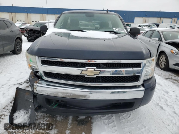 2008 Chevrolet Silverado 1500 Work Truck with VIN 1GCEC14X48Z297565, listed as a Copart auction lot 49673225 with 252,870 mi miles and Clean Title. Bid and sale history available at carsss.com. Image 5.