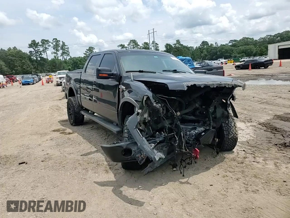 2013 Ford F-150 XL with VIN 1FTFW1EF5DKF52549, listed as a Copart auction lot 62791925 with Not provided miles and Salvage title. Bid and sale history available at DreamBid. Image 14.