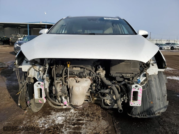 2019 Kia Sorento EX V6 with VIN 5XYPHDA52KG445622, listed as a Copart auction lot 44812945 with 133,296 mi miles and Salvage Title. Bid and sale history available at carsss.com. Image 5.
