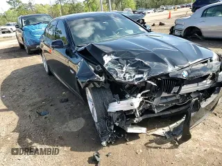 2016 BMW 5 Series 528i with VIN WBA5A5C50GG353554, listed as a Copart auction lot 50220065 with 134,222 mi miles and Salvage Title. Bid and sale history available at carsss.com. Image 10.