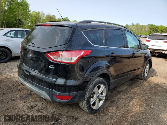 2014 Ford Escape SE with VIN 1FMCU9GX2EUB50177, listed as a Copart auction lot 58579645 with 228,017 mi miles and Salvage title. Bid and sale history available at DreamBid. Image 3.