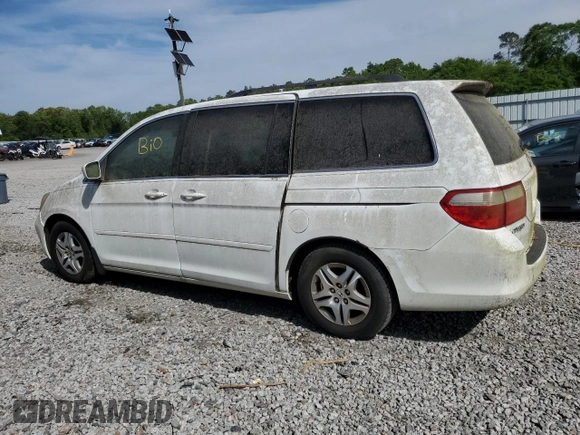 2006 Honda Odyssey EX-L with VIN 5FNRL38786B459935, listed as a Copart auction lot 53476065 with 238,034 mi miles and Clean Title. Bid and sale history available at carsss.com. Image 2.