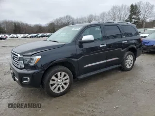 2018 Toyota Sequoia Platinum with VIN 5TDDY5G10JS161307, listed as a Copart auction lot 40646674 with 46,751 mi miles. Bid and sale history available at carsss.com. Image 1.