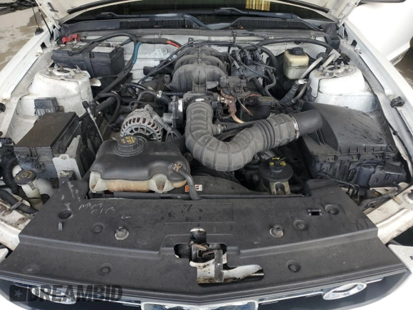 2008 Ford Mustang Deluxe с VIN 1ZVHT84N285127603, выставлен на аукционе Copart как лот 61134925 с пробегом Не указан миль и Чистый • Clean title. История ставок и продаж доступна на DreamBid. Изображение 11.