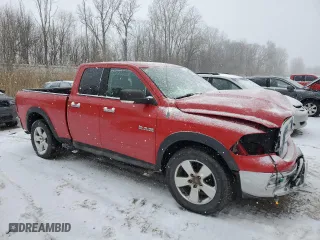 2010 Dodge Ram 1500 ST with VIN 1D7RV1GP0AS133161, listed as a Copart auction lot 87186654 with 204,667 mi miles and Clean Title. Bid and sale history available at carsss.com. Image 4.