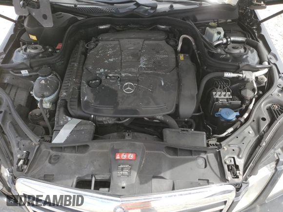 2013 Mercedes-Benz E 350 Luxury with VIN WDDHF5KBXDA769074, listed as a Copart auction lot 64065955 with 208,138 mi miles and Salvage title. Bid and sale history available at DreamBid. Image 11.