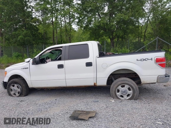 2014 Ford F-150 XL with VIN 1FTFW1EF3EFC43480, listed as a IAAI auction lot 42582431 with 134,382 mi miles and . Bid and sale history available at DreamBid. Image 14.
