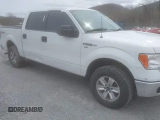 2013 Ford F-150 XL with VIN 1FTFW1EF8DKF20839, listed as a IAAI auction lot 41906614 with 243,411 mi miles and . Bid and sale history available at carsss.com. Image 1.
