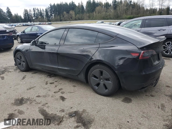 2023 Tesla Model 3 with VIN 5YJ3E1EA3PF644898, listed as a Copart auction lot 50427685 with 36,488 mi miles and Salvage Title. Bid and sale history available at DreamBid. Image 2.