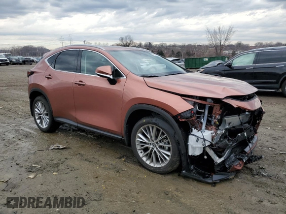2025 Lexus NX with VIN 2T2GGCEZ6SC071842, listed as a Copart auction lot 47212065 with 4,423 mi miles and Salvage Title. Bid and sale history available at carsss.com. Image 4.