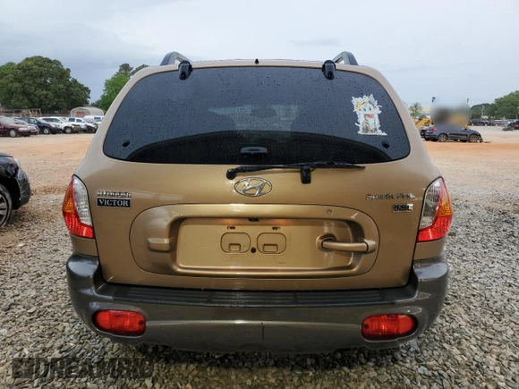 2004 Hyundai Santa Fe GLS with VIN KM8SC13E34U595014, listed as a Copart auction lot 55642745 with 69,303 mi miles and Salvage title. Bid and sale history available at DreamBid. Image 6.