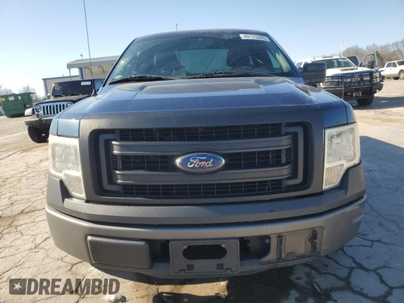 2013 Ford F-150 XL with VIN 1FTMF1CM9DKD34252, listed as a Copart auction lot 49175385 with 215,746 mi miles and Salvage Title. Bid and sale history available at carsss.com. Image 5.