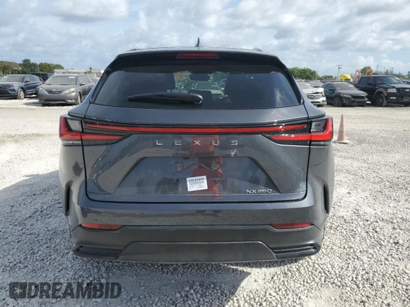 2023 Lexus NX with VIN 2T2GDCAZ3PC003424, listed as a Copart auction lot 47798813 with 2,163 mi miles. Bid and sale history available at carsss.com. Image 6.