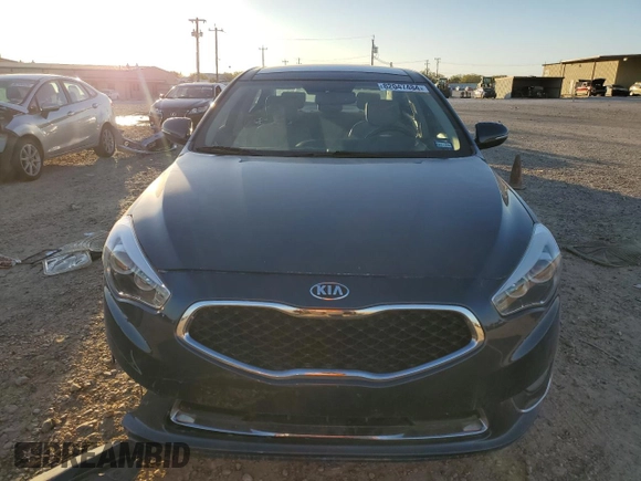 2014 Kia Cadenza Premium with VIN KNALN4D76E5162994, listed as a Copart auction lot 82047484 with 0 mi miles and Salvage Title. Bid and sale history available at carsss.com. Image 5.