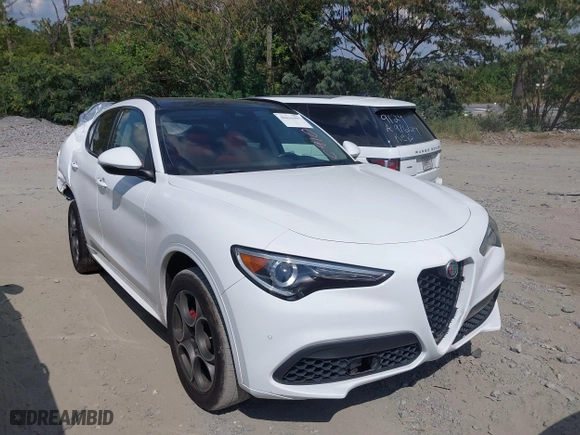 2020 Alfa Romeo Stelvio with VIN ZASPAJAN9L7C91080, listed as a IAAI auction lot 40416497 with 51,384 mi miles. Bid and sale history available at carsss.com. Image 1.