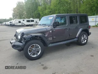 2019 Jeep Wrangler Unlimited Sahara with VIN 1C4HJXEN1KW504490, listed as a Copart auction lot 55633055 with 81,444 mi miles and Salvage Title. Bid and sale history available at DreamBid. Image 1.