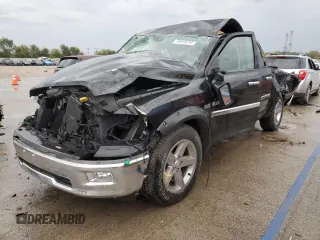 2010 Dodge 1500 SLT with VIN 1D7RB1CT5AS238807, listed as a Copart auction lot 74019234 with 59,233 mi miles and Non Repairable. Bid and sale history available at carsss.com. Image 1.