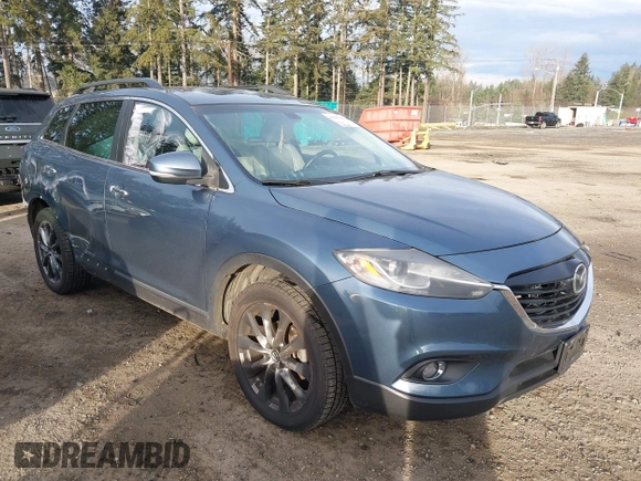 2014 Mazda CX-9 Grand Touring with VIN JM3TB3DV2E0435230, listed as a IAAI auction lot 41041440 with 145,538 mi miles and . Bid and sale history available at DreamBid. Image 1.