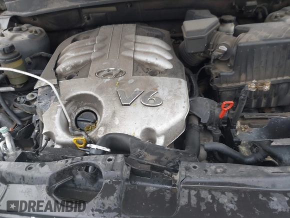 2007 Hyundai Santa Fe SE with VIN 5NMSH73E27H042939, listed as a IAAI auction lot 42283443 with 229,335 mi miles and . Bid and sale history available at DreamBid. Image 10.