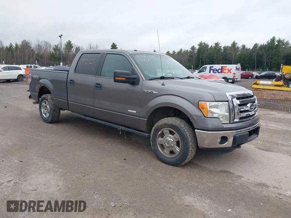 2012 Ford F-150 XL with VIN 1FTFW1ET7CFC28435, listed as a IAAI auction lot 41972527 with 114,319 mi miles. Bid and sale history available at carsss.com. Image 1.
