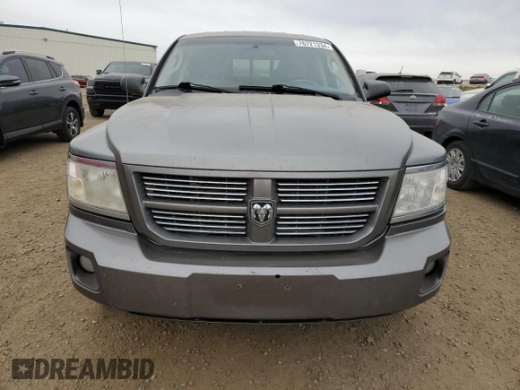 2010 Dodge Dakota SXT with VIN 1D7CW3GP3AS161843, listed as a Copart auction lot 76721334 with 308,931 mi miles and Clean Title. Bid and sale history available at DreamBid. Image 5.