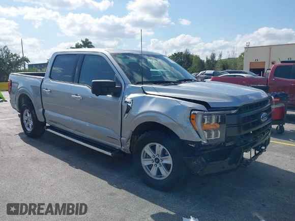 2024 Ford F-150 XLT with VIN 1FTFW3LD0RFA89460, listed as a IAAI auction lot 42073504 with 14,636 mi miles. Bid and sale history available at carsss.com. Image 1.