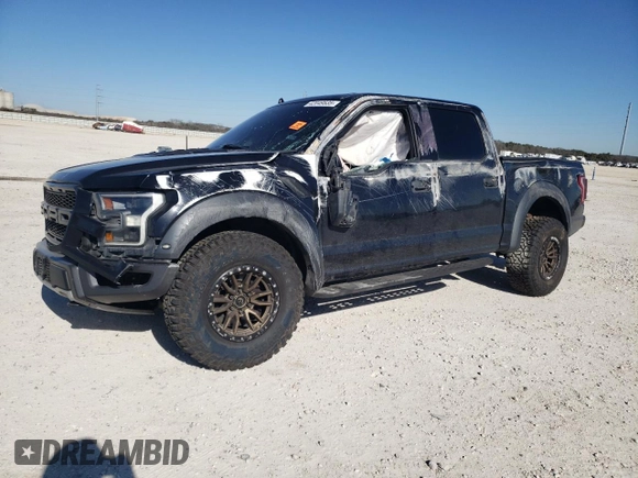 2019 Ford F-150 Raptor with VIN 1FTFW1RG0KFB43691, listed as a Copart auction lot 42049535 with 174,785 mi miles and Salvage Title. Bid and sale history available at carsss.com. Image 1.
