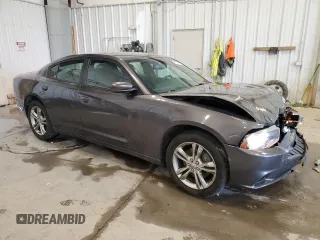 2014 Dodge Charger SXT Plus with VIN 2C3CDXJG6EH351461, listed as a Copart auction lot 43133715 with 166,234 mi miles and Non Repairable. Bid and sale history available at carsss.com. Image 4.