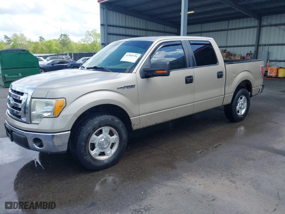 2010 Ford F-150 XL with VIN 1FTEW1C84AFD29603, listed as a IAAI auction lot 41960726 with 260,297 mi miles. Bid and sale history available at carsss.com. Image 17.