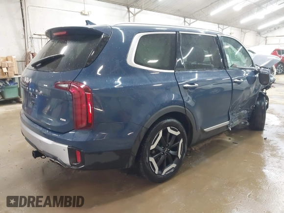 2024 Kia Telluride S with VIN 5XYP6DGC9RG430637, listed as a IAAI auction lot 42139135 with 15,838 mi miles and . Bid and sale history available at DreamBid. Image 4.